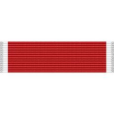 Washington National Guard Cross of Valor Medal Ribbon